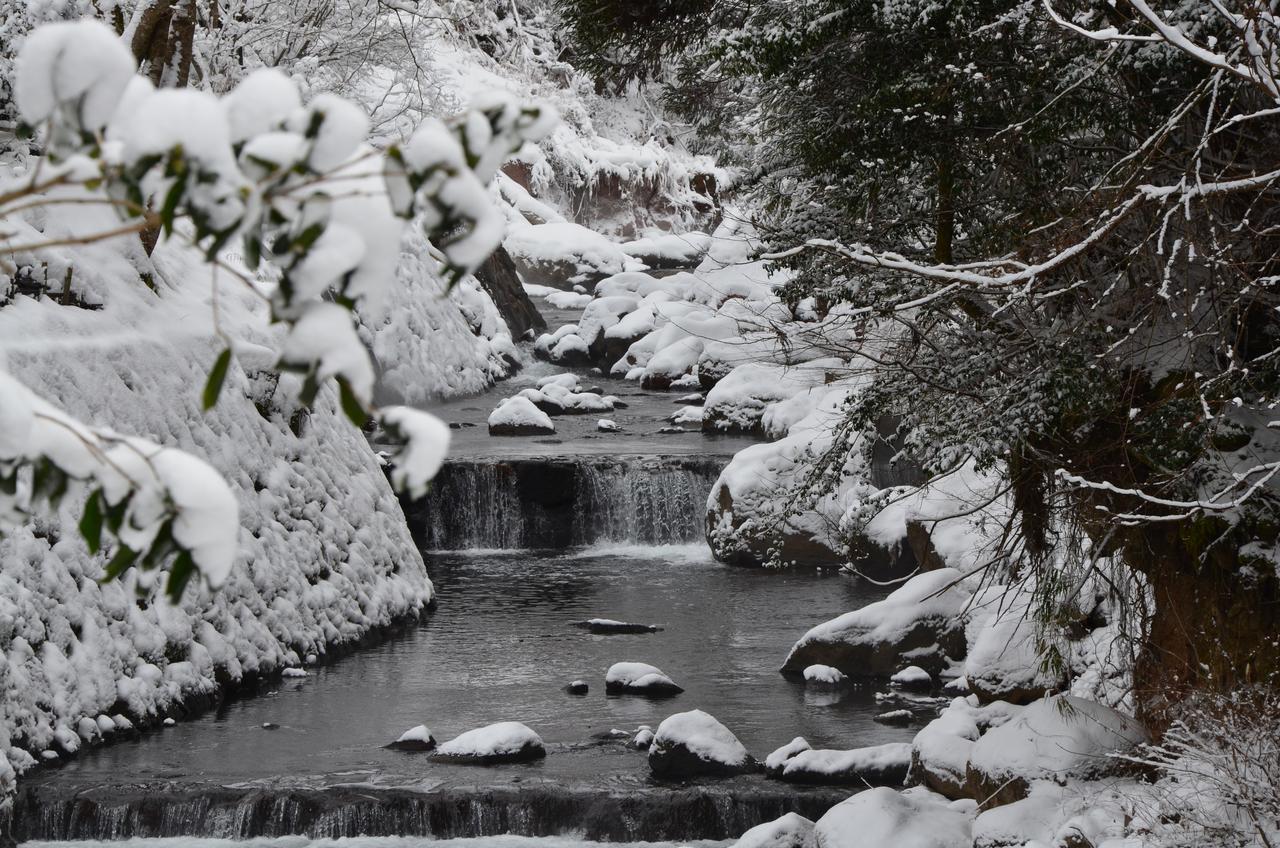 Отель Kurokawa Onsen Oku No Yu Минамиогуни Экстерьер фото
